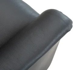 CAESAR PLUS Reclinerfåtölj 2 motor LiftUp Large läder Soleda/skai 441 svart