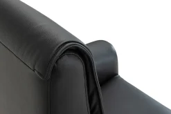 CAESAR PLUS Reclinerfåtölj 2 motor LiftUp Large läder Soleda/skai 441 svart m elman. nacke