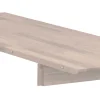 FILIPPA Iläggsskiva 40x105 till ovalt matbord vitpigment ek